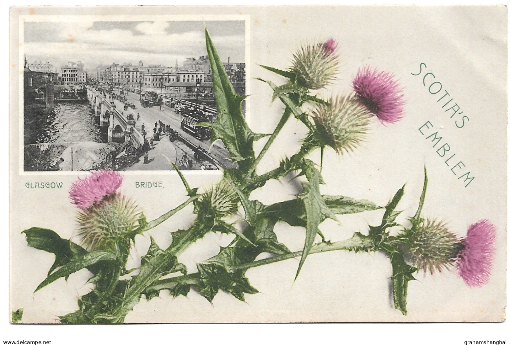 Postcard UK Scotland Glasgow Thistles "Scotia's Emblem" Inset Image Of Glasgow Bridge Posted 1907 Hartmanns - Lanarkshire / Glasgow