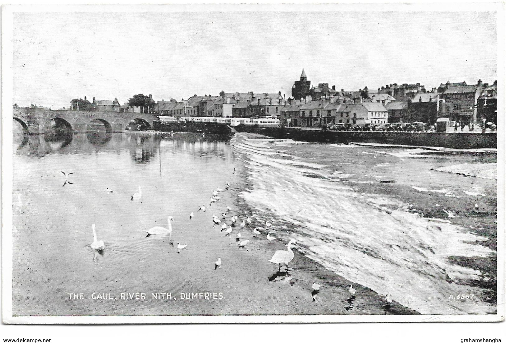 Postcard UK Scotland Dumfriesshire Dumfries The Caul River Nith Bridge Birds Swans Posted 1949 - Dumfriesshire