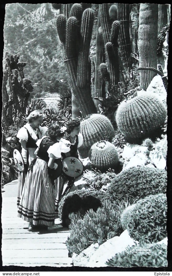 ► MONACO Type Femme Monégasque Cpsm Bromure Du JARDIN EXOTIQUE  Cactus - Exotic Garden