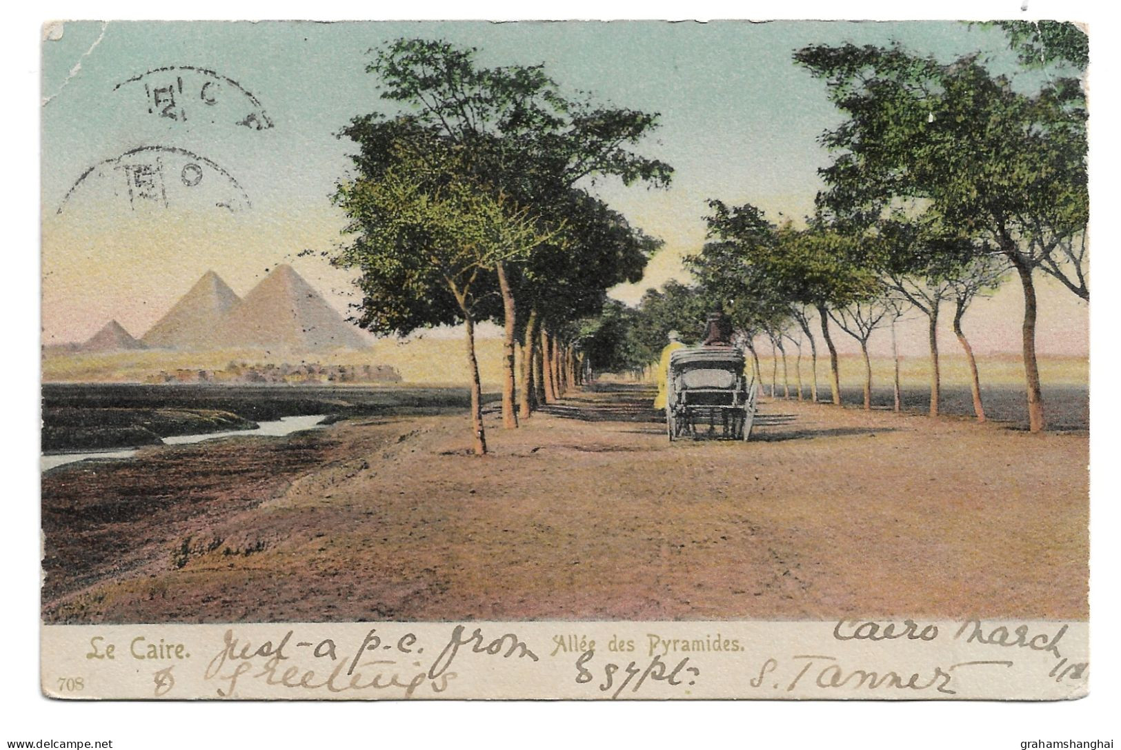 Postcard Egypt Allée Des Pyramids Tree-lined Road Carriage Undivided Back Posted 1907 Egyptian Stamp - Pyramides