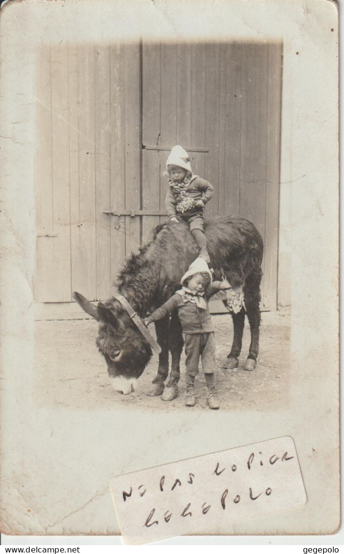Deux Jeunes Enfants Avec Un âne  - à Localiser ( Carte Photo  ) - Esel