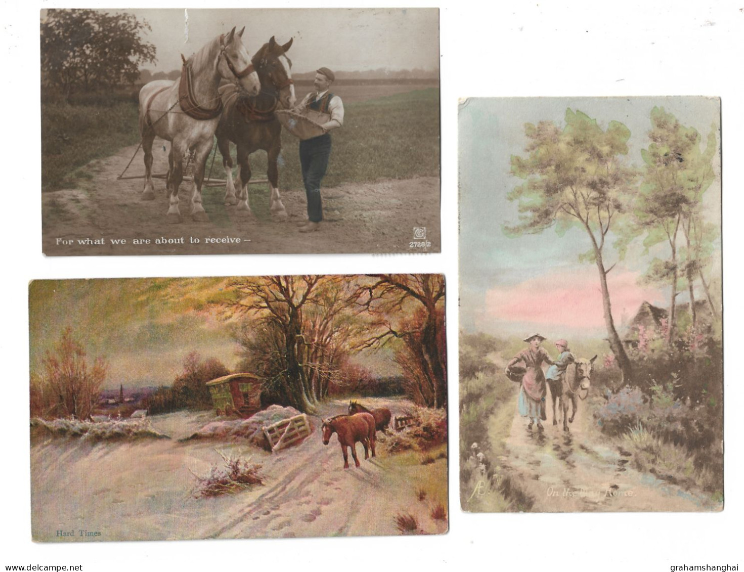 3 Postcards Lot Horses Donkey Agriculture Farming Farm Animals Rural Life All Posted - Elevage