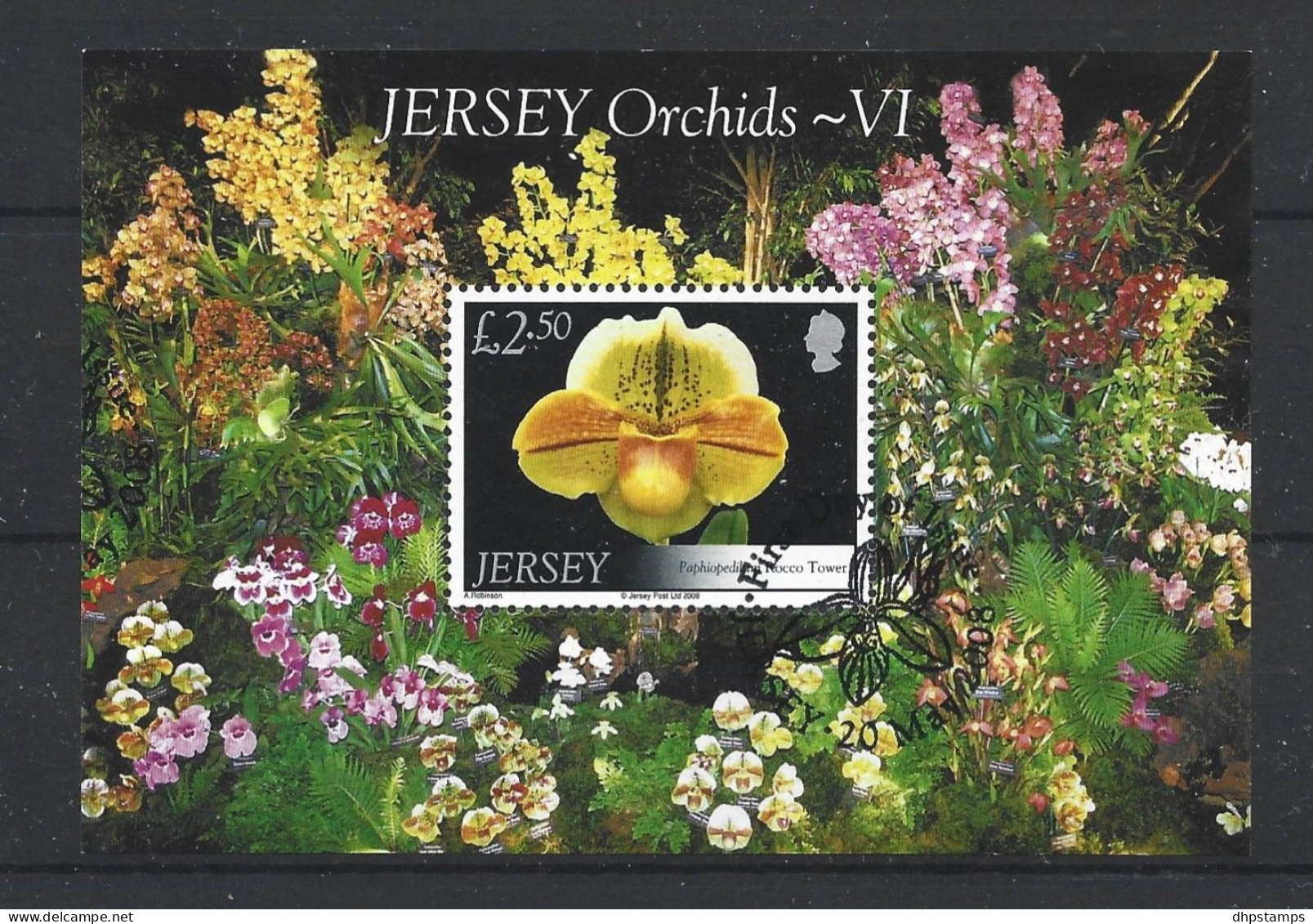 Jersey 2008 Orchids Y.T. BF 84 (0) - Jersey