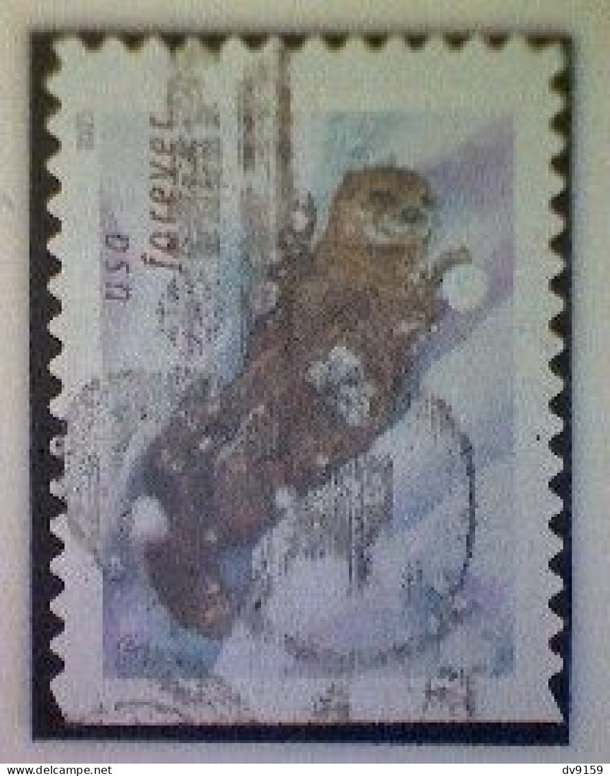 United States, Scott #5650, Used(o), 2021, Otter In The Snow, (58¢) - Gebraucht
