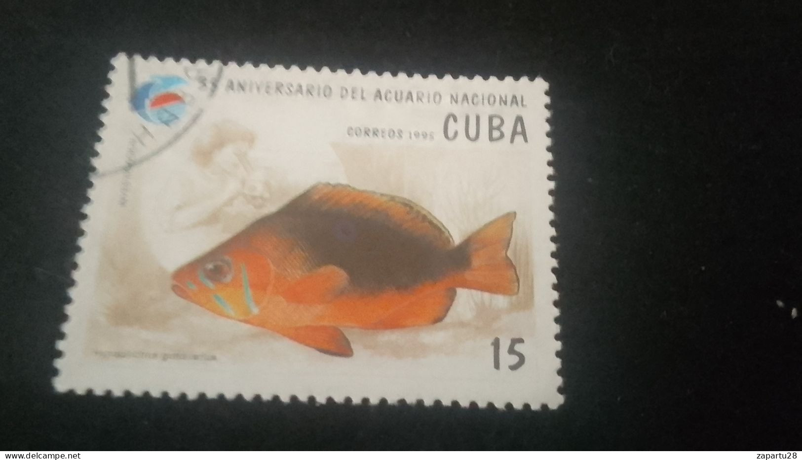 CUBA- 1980-90   15  C.     DAMGALI - Gebruikt