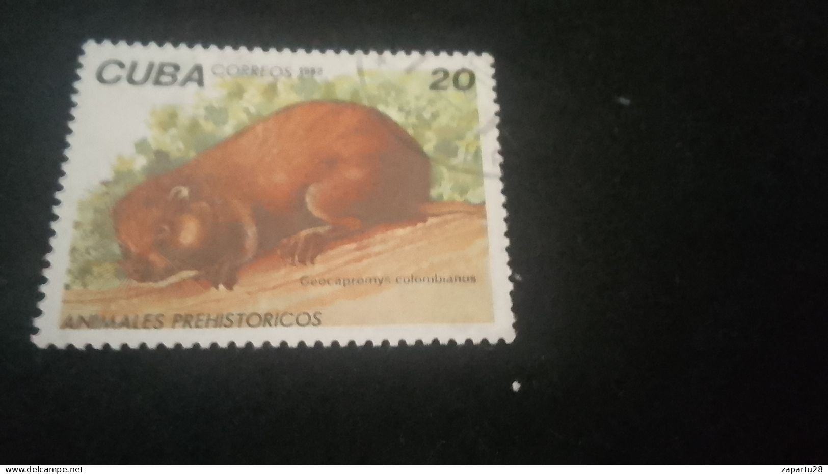 CUBA- 1980-90   20  C.     DAMGALI - Gebruikt