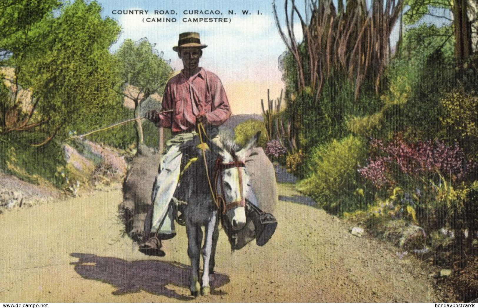 Curacao, N.W.I., WILLEMSTAD, Country Road, Donkey (1930s) Kropp 18541 Postcard - Curaçao