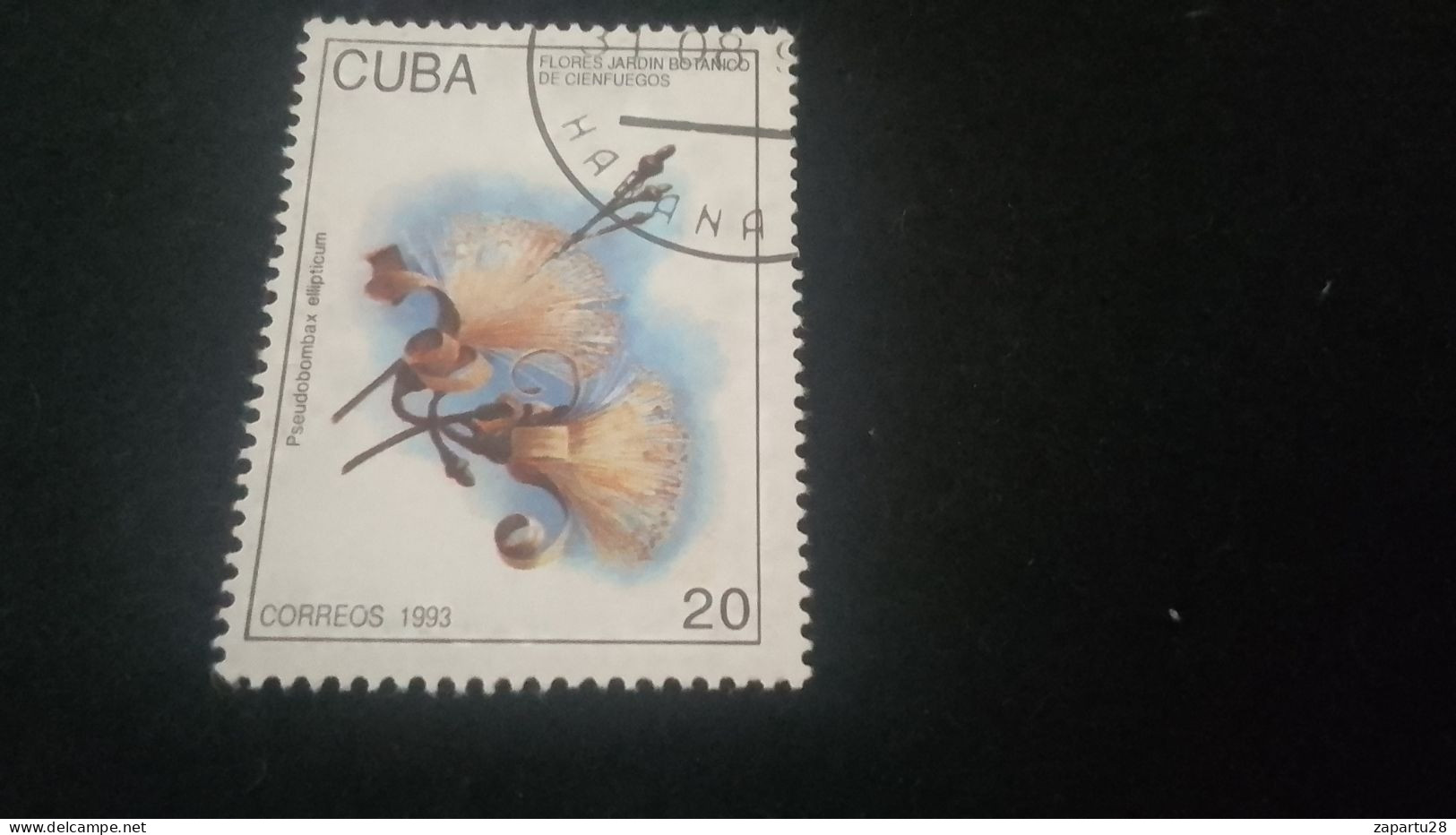 CUBA- 1980-90   20  C.     DAMGALI - Gebruikt