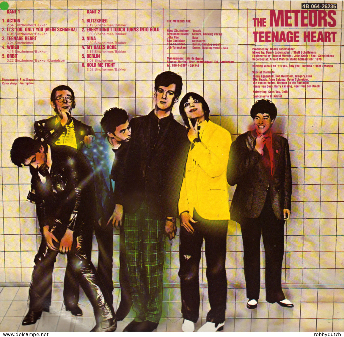 * LP *  THE METEORS - TEENAGE HEART (Holland 1979 EX-) - Rock