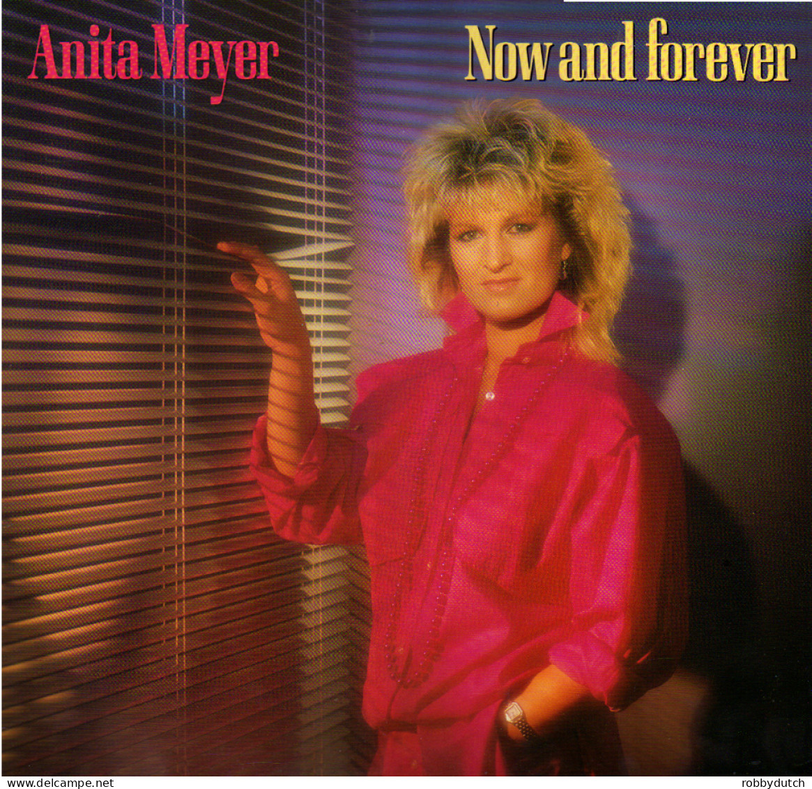 * LP *  ANITA MEYER - NOW AND FOREVER (Europe 1983 EX) - Disco & Pop