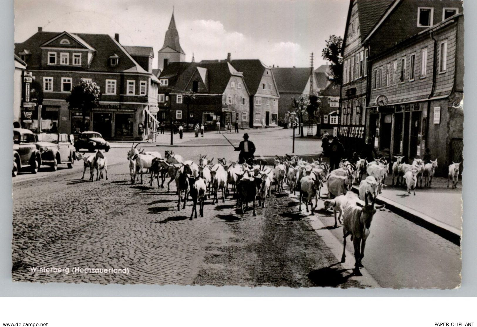 5788 WINTERBERG, Ziegenherde, VW-Käfer, 1958 - Winterberg