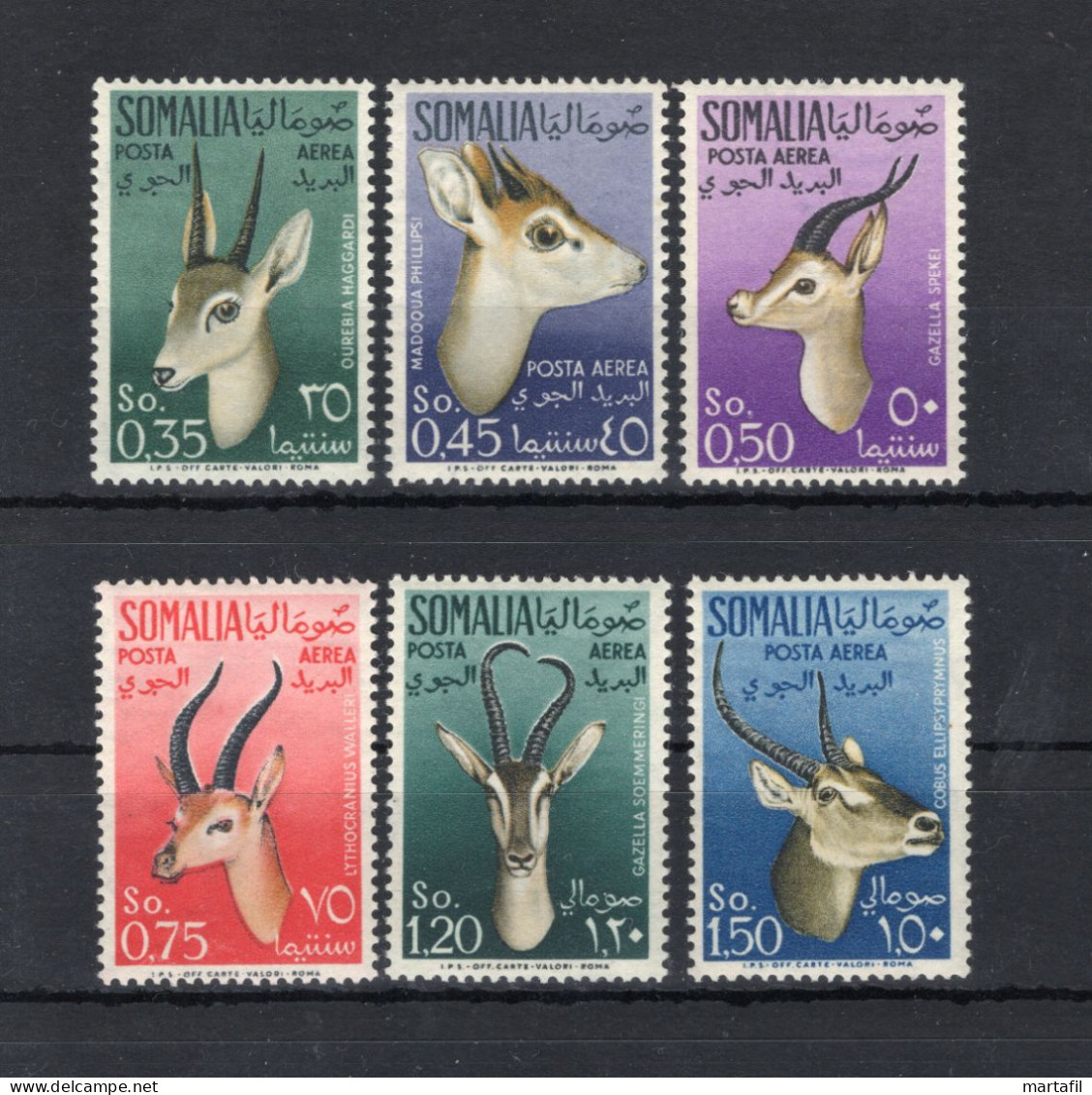 1955 Somalia AFIS S49 Animali, Fauna, Gazzelle, MNH ** - Somalië (AFIS)