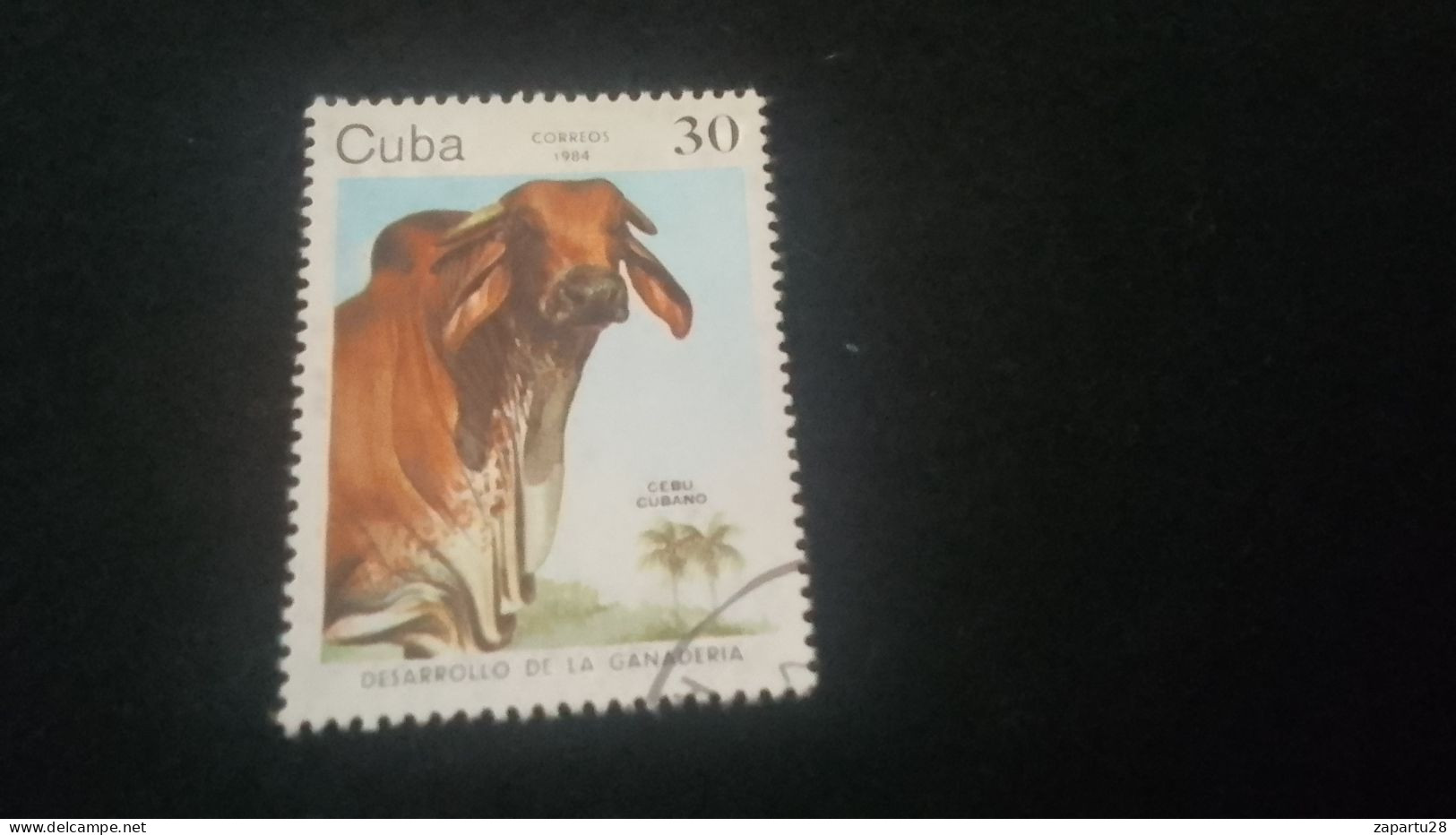 CUBA- 1980-90   30  C.     DAMGALI - Gebruikt