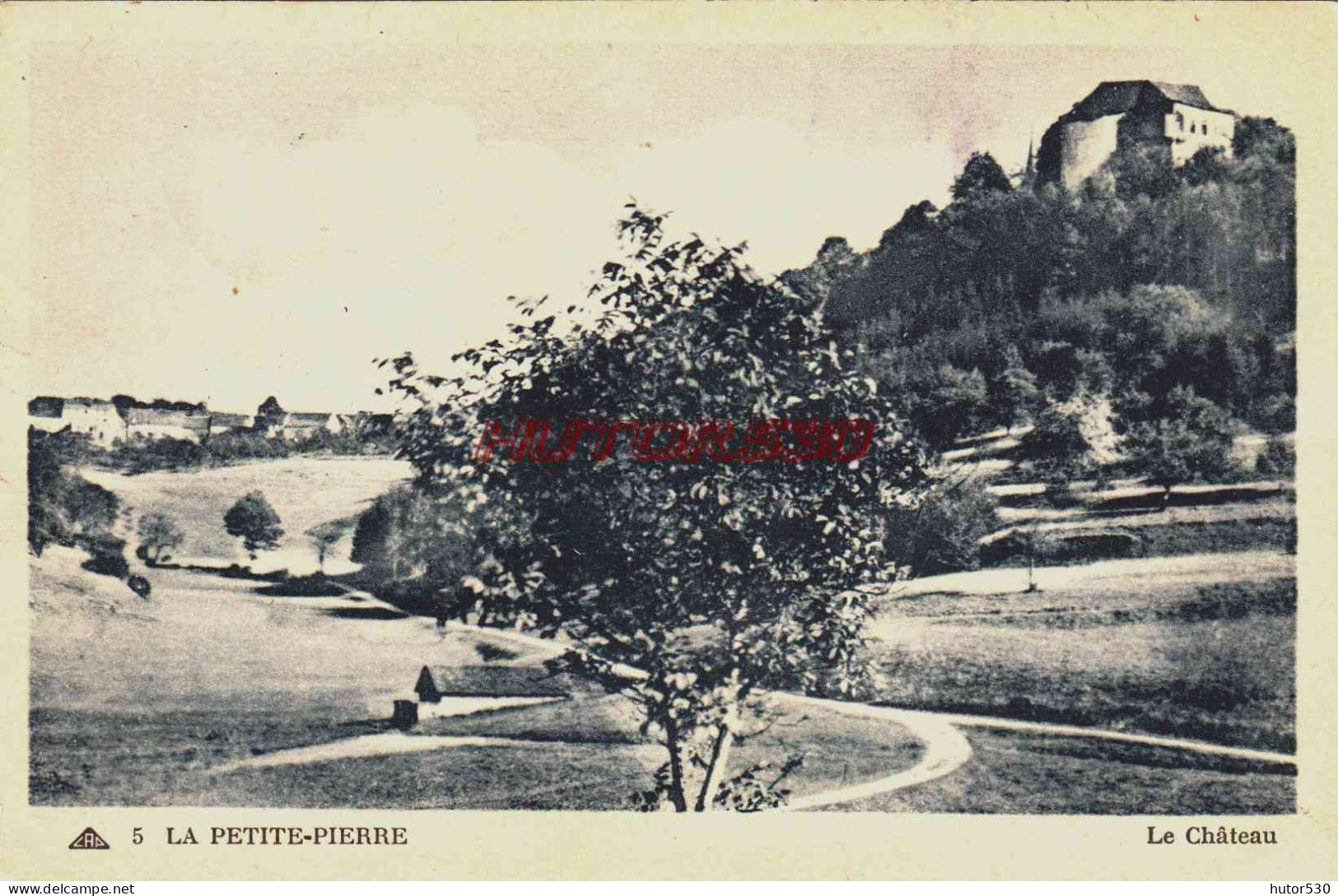 CPA LA PETITE PIERRE - BAS RHIN - LE CHATEAU - La Petite Pierre