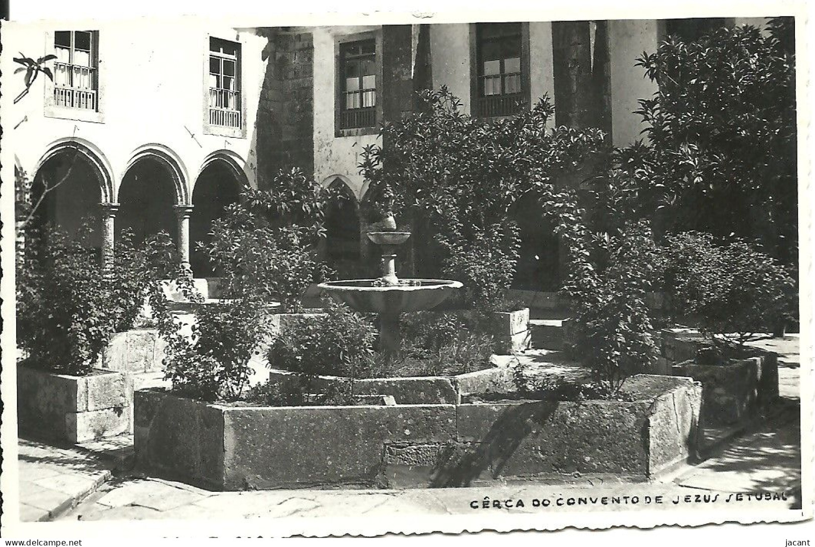 Portugal - Setubal - Cerca Do Convento De Jesus - Carte Photo Ed. Studio Cinema - Setúbal