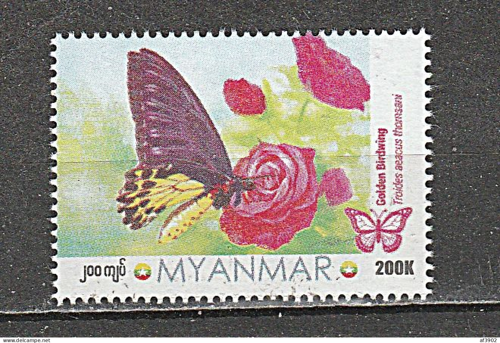 BURMA/MYANMAR STAMP 2024 ISSUED THOMSANI BUTTERFLY SINGLE, MNH - Myanmar (Birmanie 1948-...)