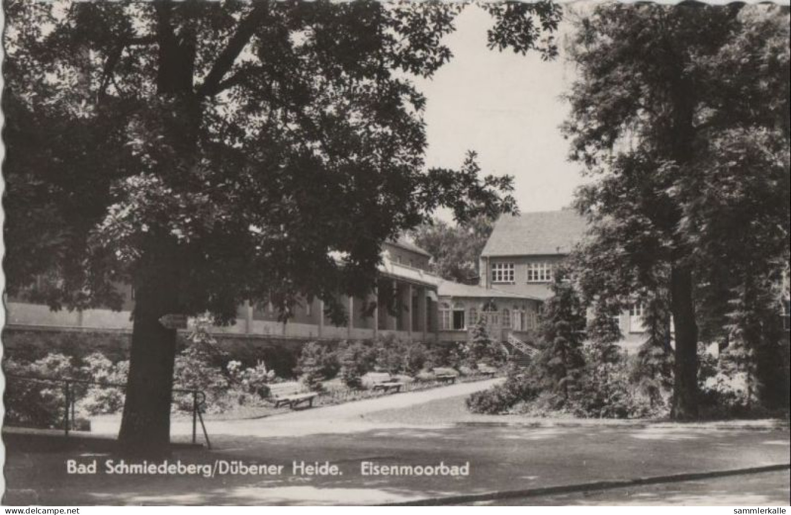 72360 - Bad Schmiedeberg - Eisenmoorbad - 1966 - Bad Schmiedeberg