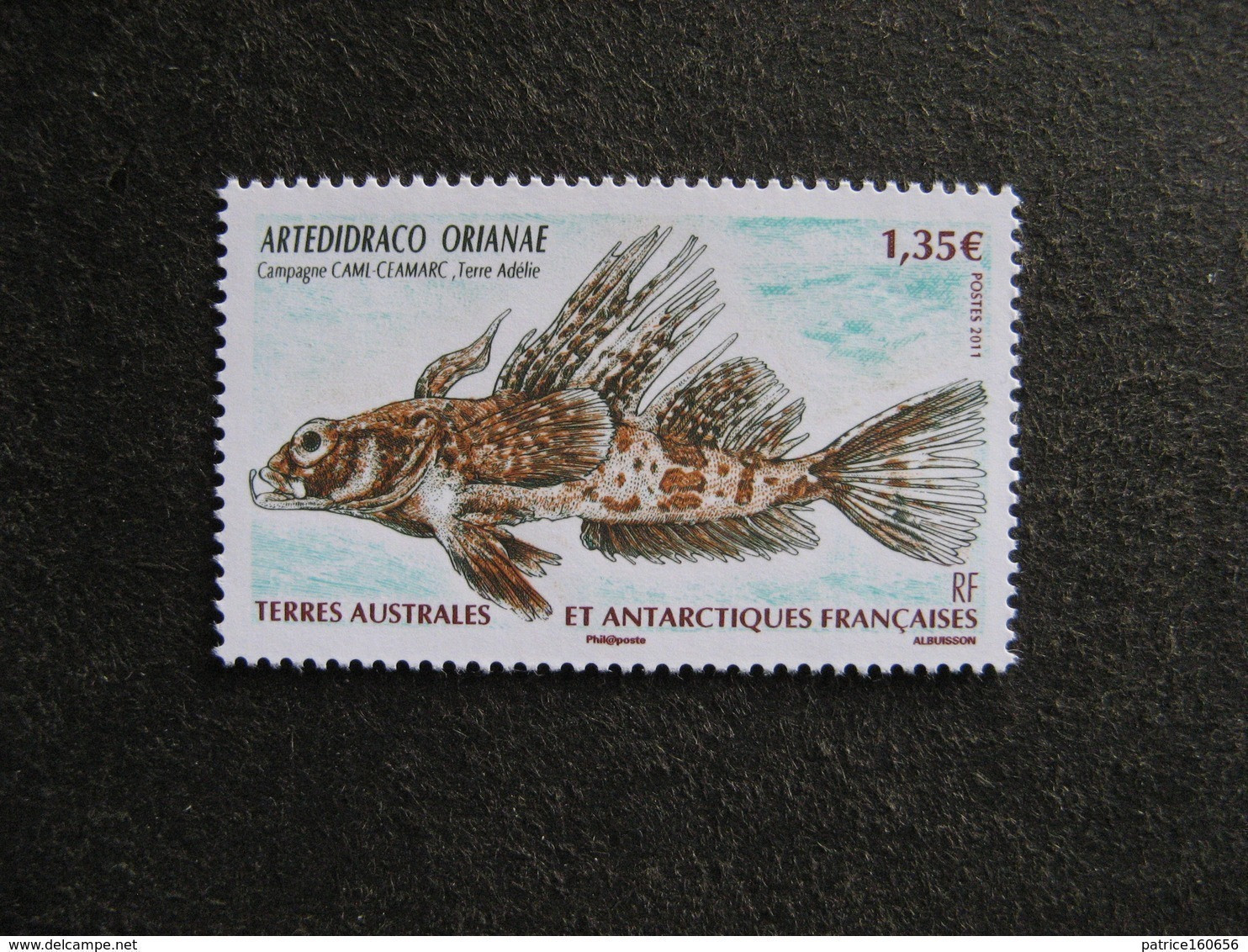 TAAF:   TB N° 583, Neuf XX. - Unused Stamps