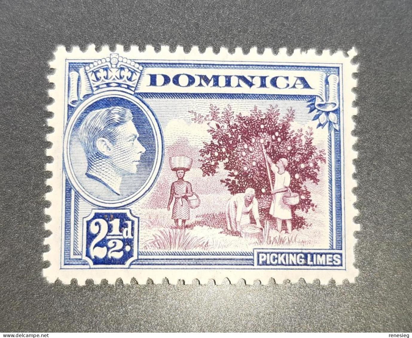 Dominica George VI Yvert 96 MNH - Dominique (...-1978)