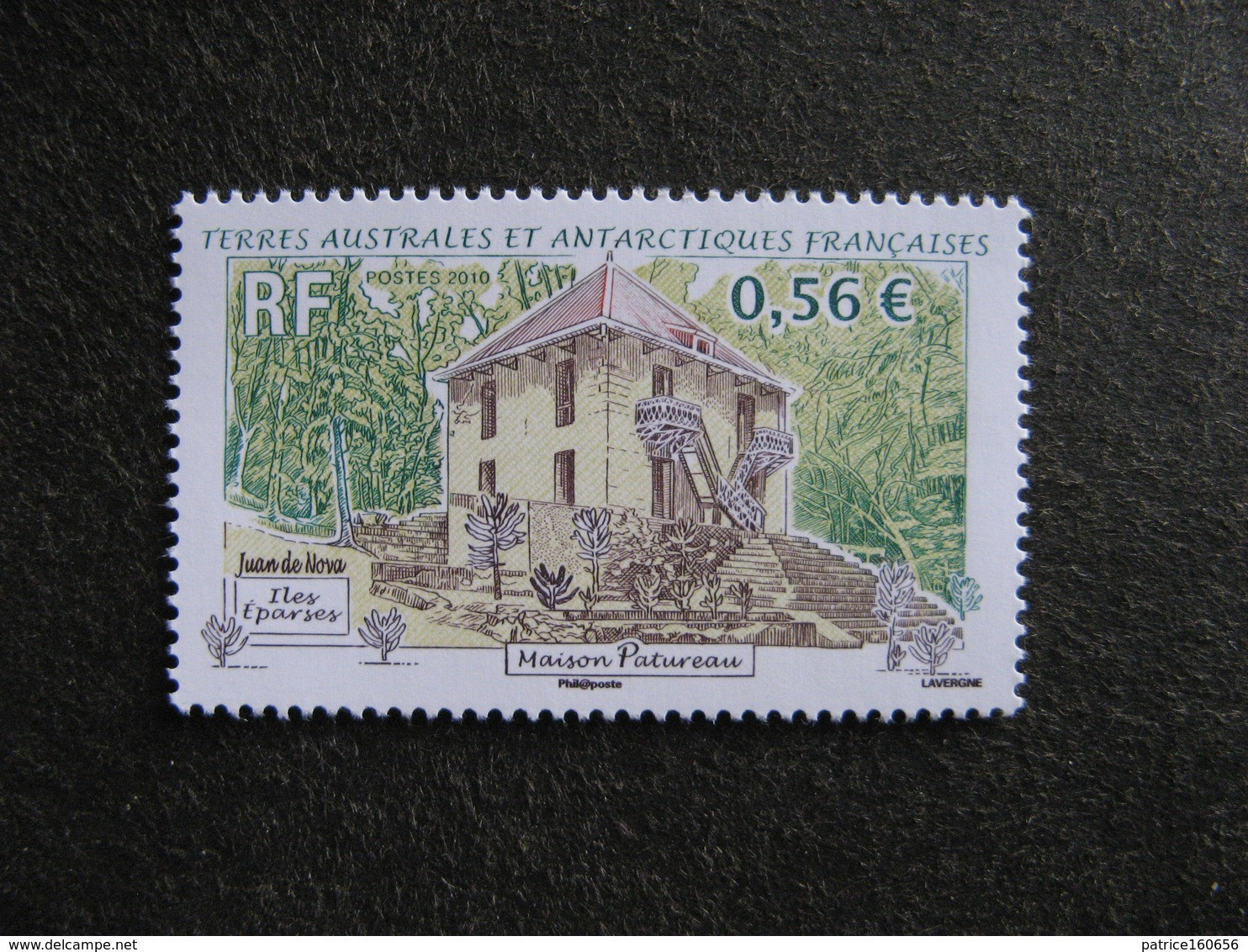 TAAF:   TB N° 555, Neuf XX. - Unused Stamps