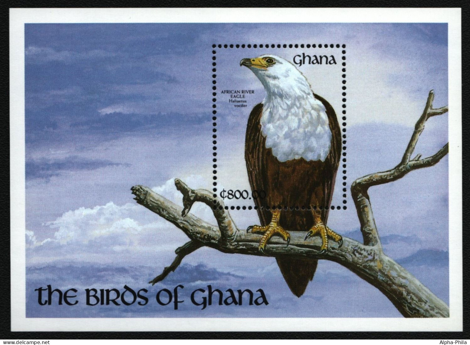 Ghana 1991 - Mi-Nr. Block 179 ** - MNH - Vögel / Birds - Ghana (1957-...)