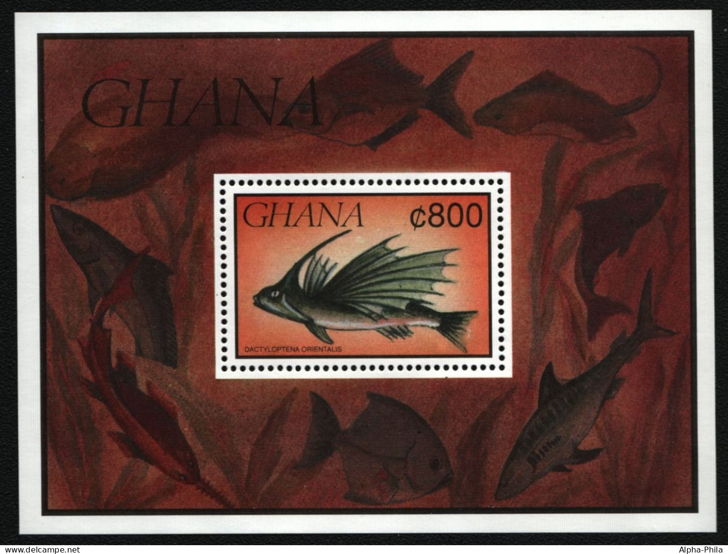 Ghana 1991 - Mi-Nr. Block 176 ** - MNH - Fische / Fish - Ghana (1957-...)
