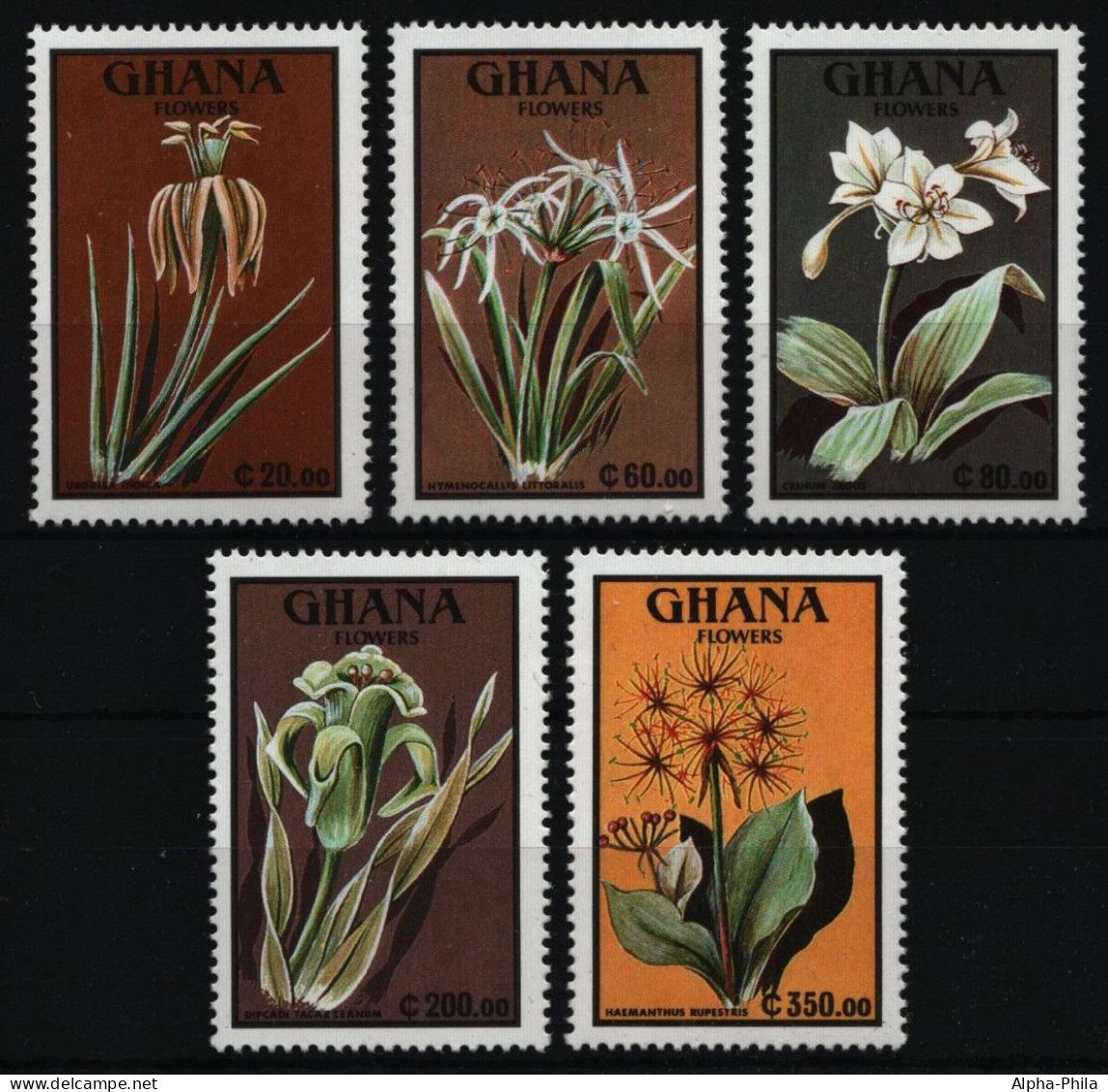 Ghana 1991 - Mi-Nr. 1490-1494 ** - MNH - Blumen / Flowers - Ghana (1957-...)
