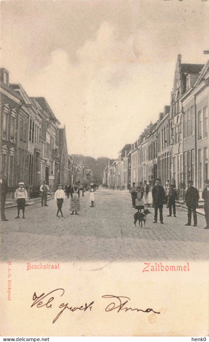 Zaltbommel Boschstraat K7146 - Zaltbommel