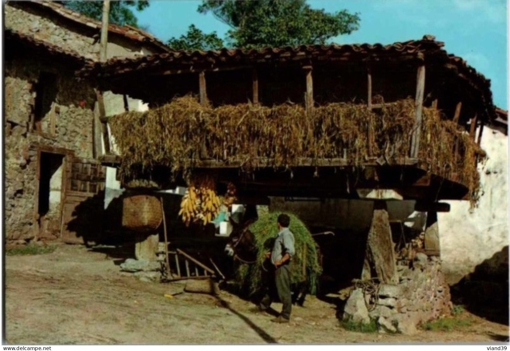 Horreo Astorien. . -  1980. - Asturias (Oviedo)