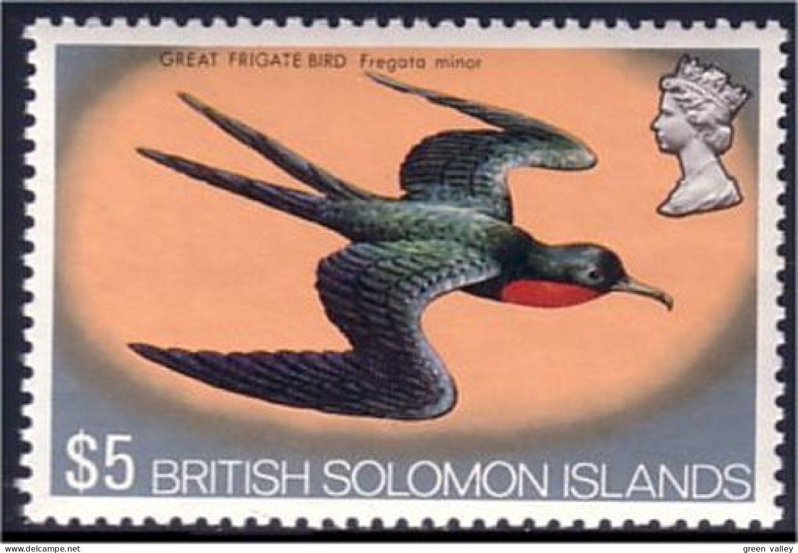 822 Solomon Islands Great Frigate Fregate MNH ** Neuf SC (SOL-43) - Palmípedos Marinos