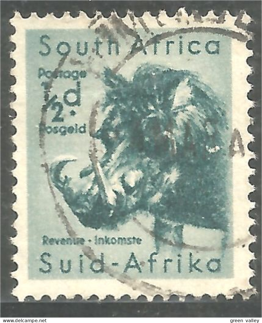 817 South Africa Phacochère Wrattenzwijn Facocero Warzenschwein Jabalí (RSA-21b) - Oblitérés