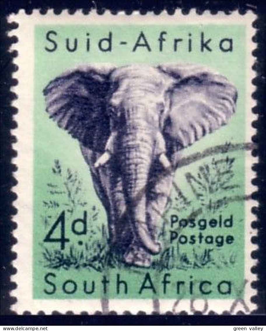 817 South Africa Elephant Elefant Elefante Olifant Norsu (RSA-7b) - Elefantes