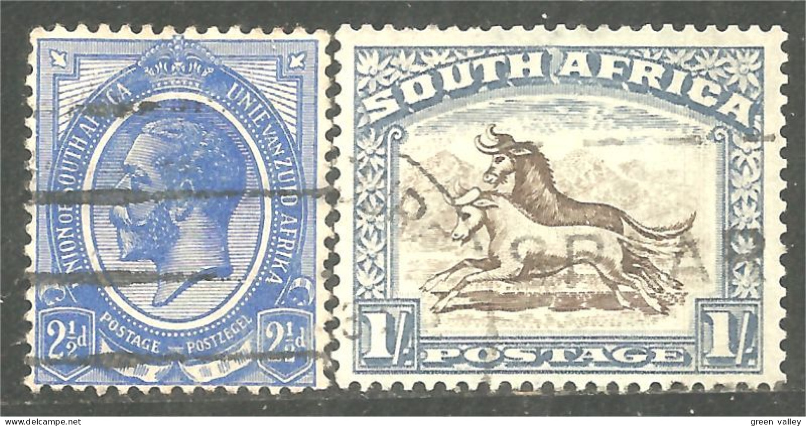 817 South Africa George V 2 1/2d Animals One Shilling (RSA-17) - Neufs