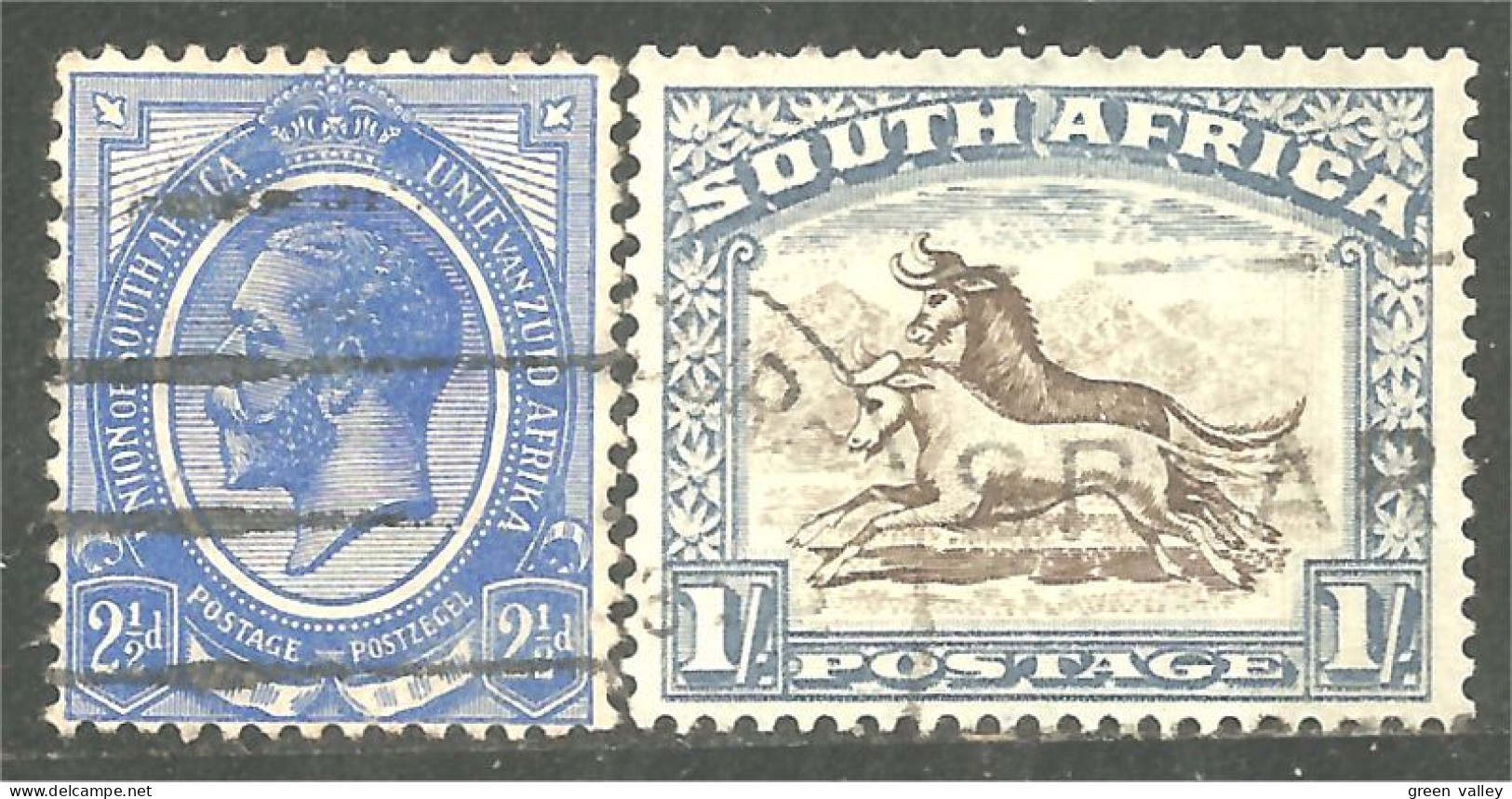 817 South Africa George V 2 1/2d Animals One Shilling (RSA-17) - Unused Stamps
