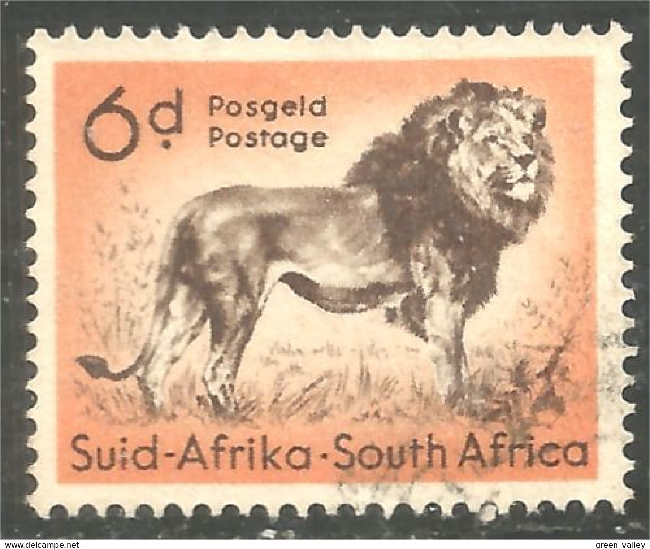 817 South Africa Lion Leone Lowe Leeuw Leon (RSA-18b) - Oblitérés