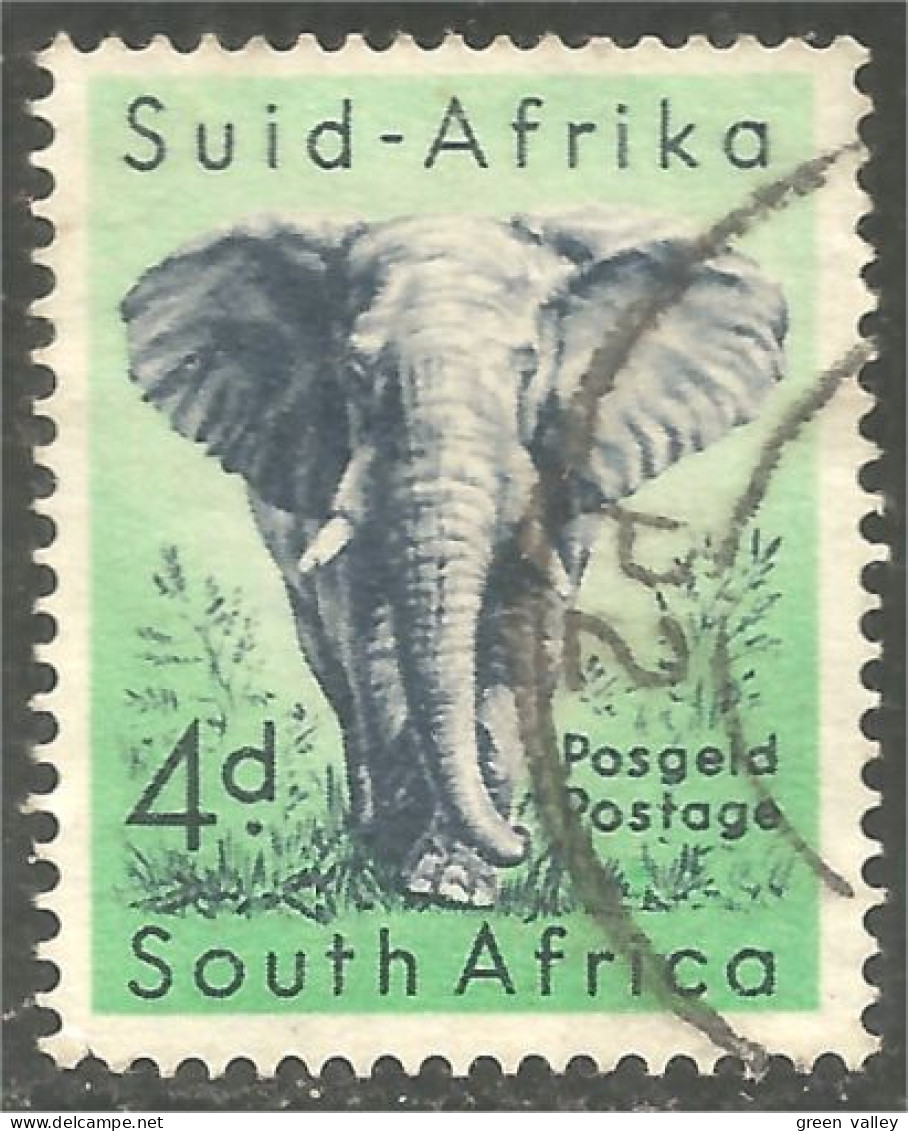 817 South Africa Elephant Elefant Elefante Olifant Norsu (RSA-7d) - Usados