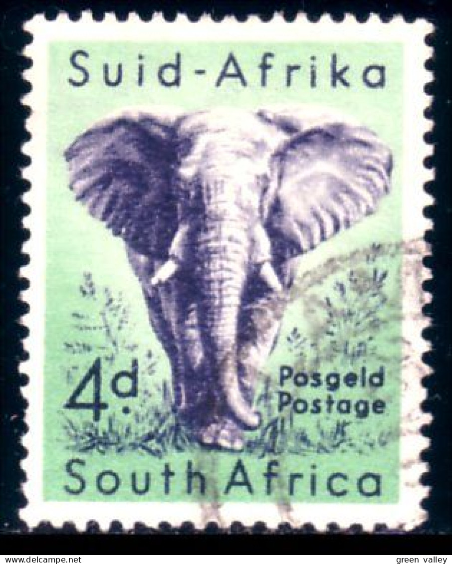 817 South Africa Elephant Elefant Elefante Olifant Norsu (RSA-7a) - Elefantes