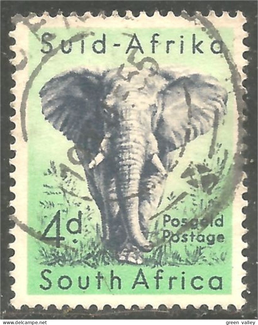 817 South Africa Elephant Elefant Elefante Olifant Norsu (RSA-7c) - Used Stamps