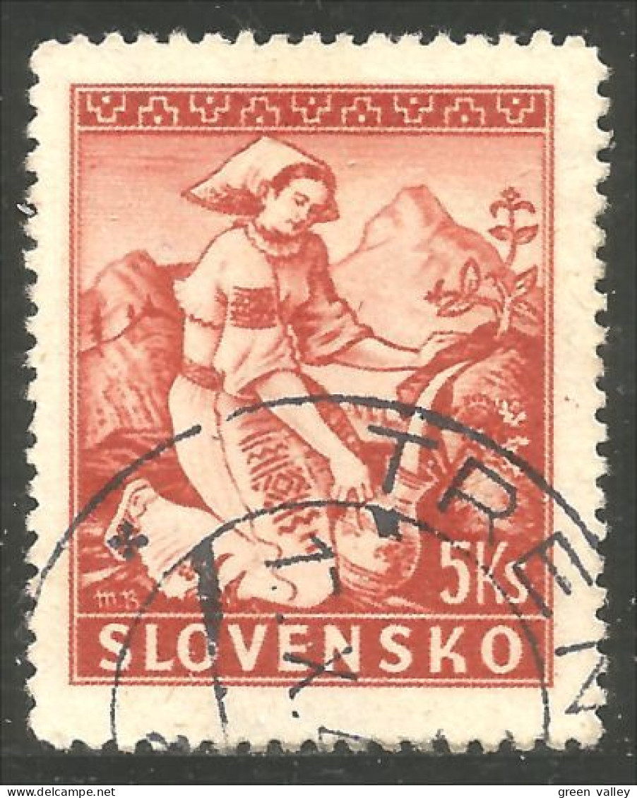 810 Slovensko Slovakia1939 Eau Source Montagne Mountain Spring Water Wasser (SLK-41) - Natura