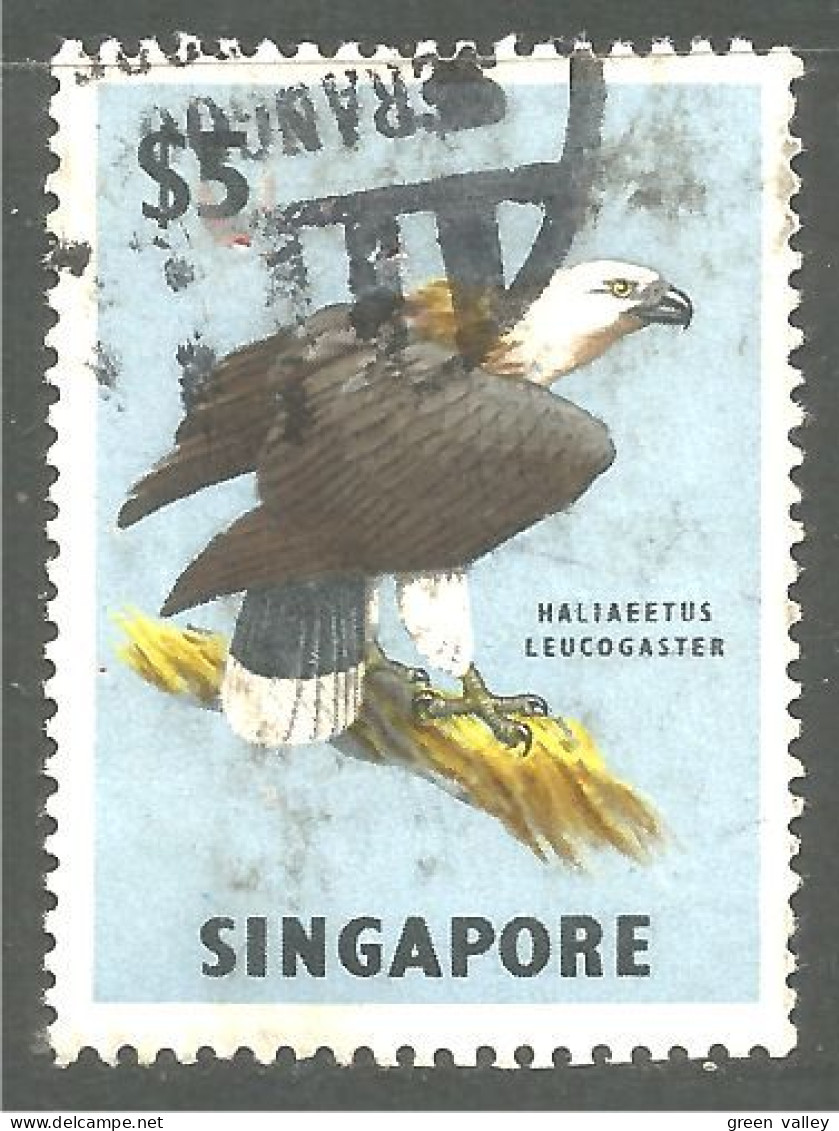 808 Singapore $5 White-tailed Sea Eagle Adler Aigle Mer Queue Blanche (SIN-14) - Aigles & Rapaces Diurnes