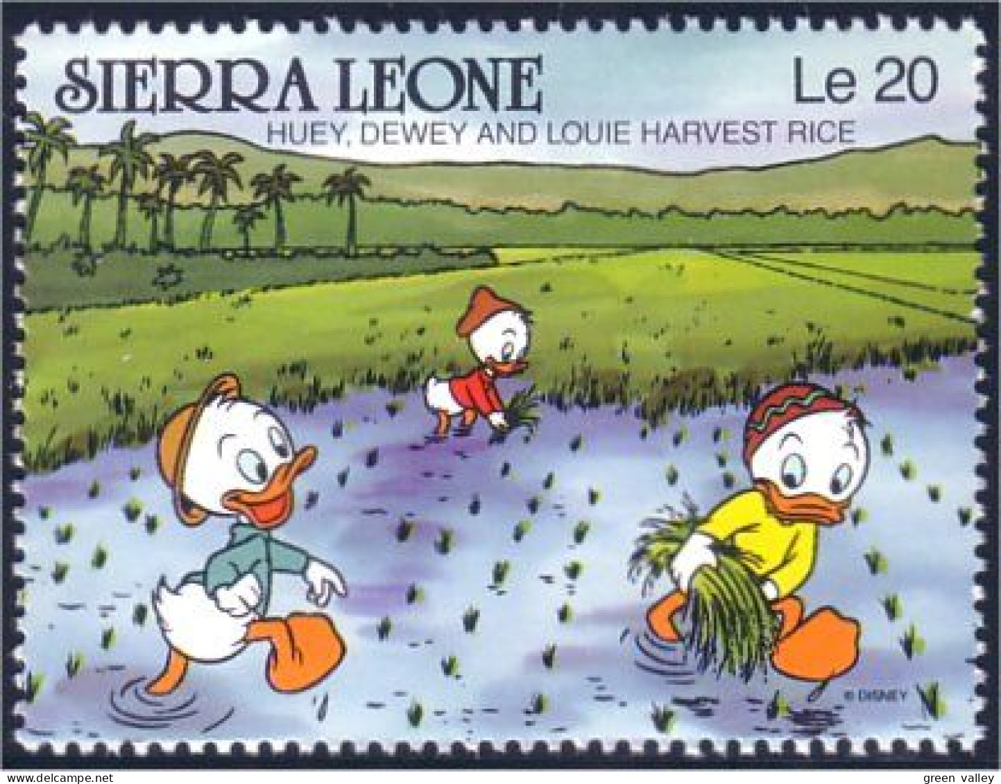 806 Sierra Leone Harvest Rice Recolte Riz Riziere MNH ** Neuf SC (SIE-65c) - Sonstige & Ohne Zuordnung