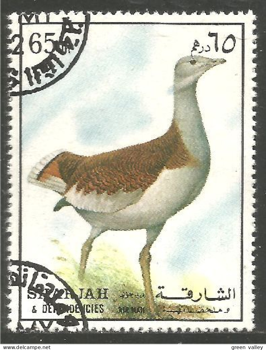 804 Sharjah Oiseau Bird Vogel Uccello Oie Goose Geese Gans Oca Ganso (SHA-55) - Ganzen