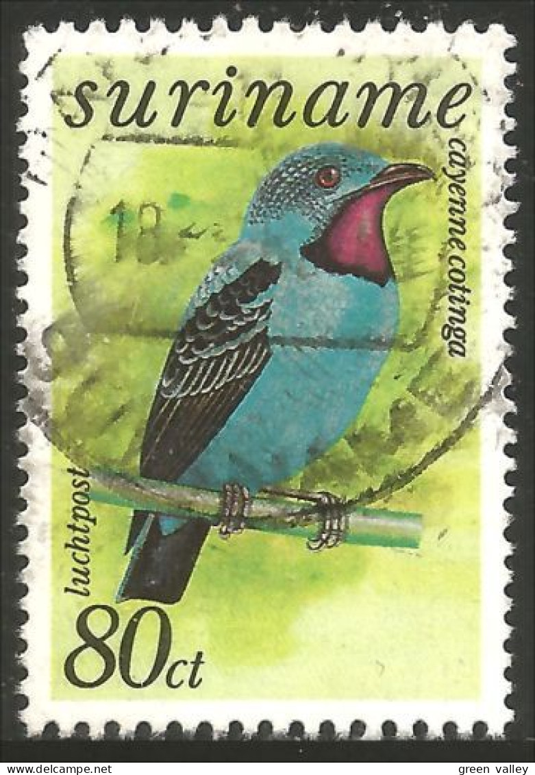 836 Suriname Oiseau Bird Cotinga Cayenne (SUR-60) - Papagayos