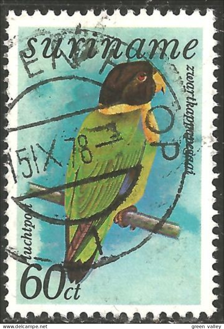 836 Suriname Oiseau Bird Parrot Perroquet (SUR-55) - Suriname