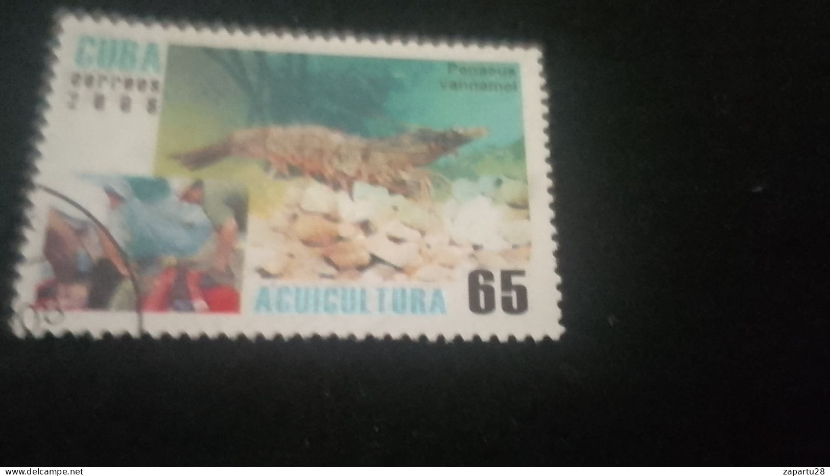 CUBA- 1980-90   65  C.     DAMGALI - Oblitérés