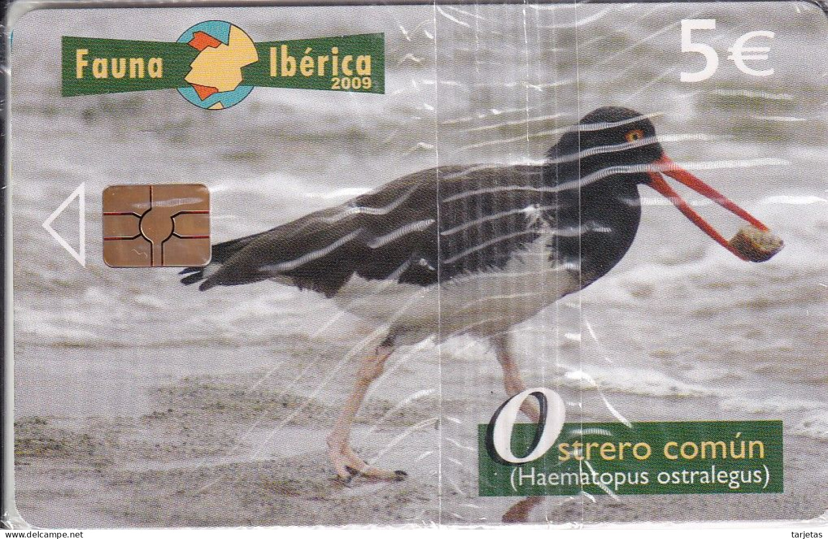 TARJETA DE FAUNA IBERICA OSTRERO COMUN TIRADA 65010  (BIRD-PAJARO) NUEVA-MINT - Emissions Basiques