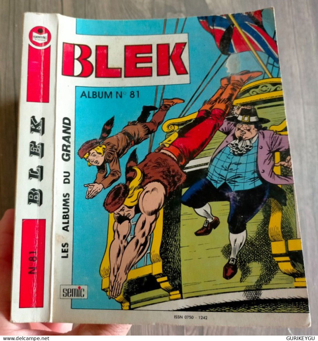 Album BLEK N° 81 Avec N° 484.485.486 LUG 1991 - Blek