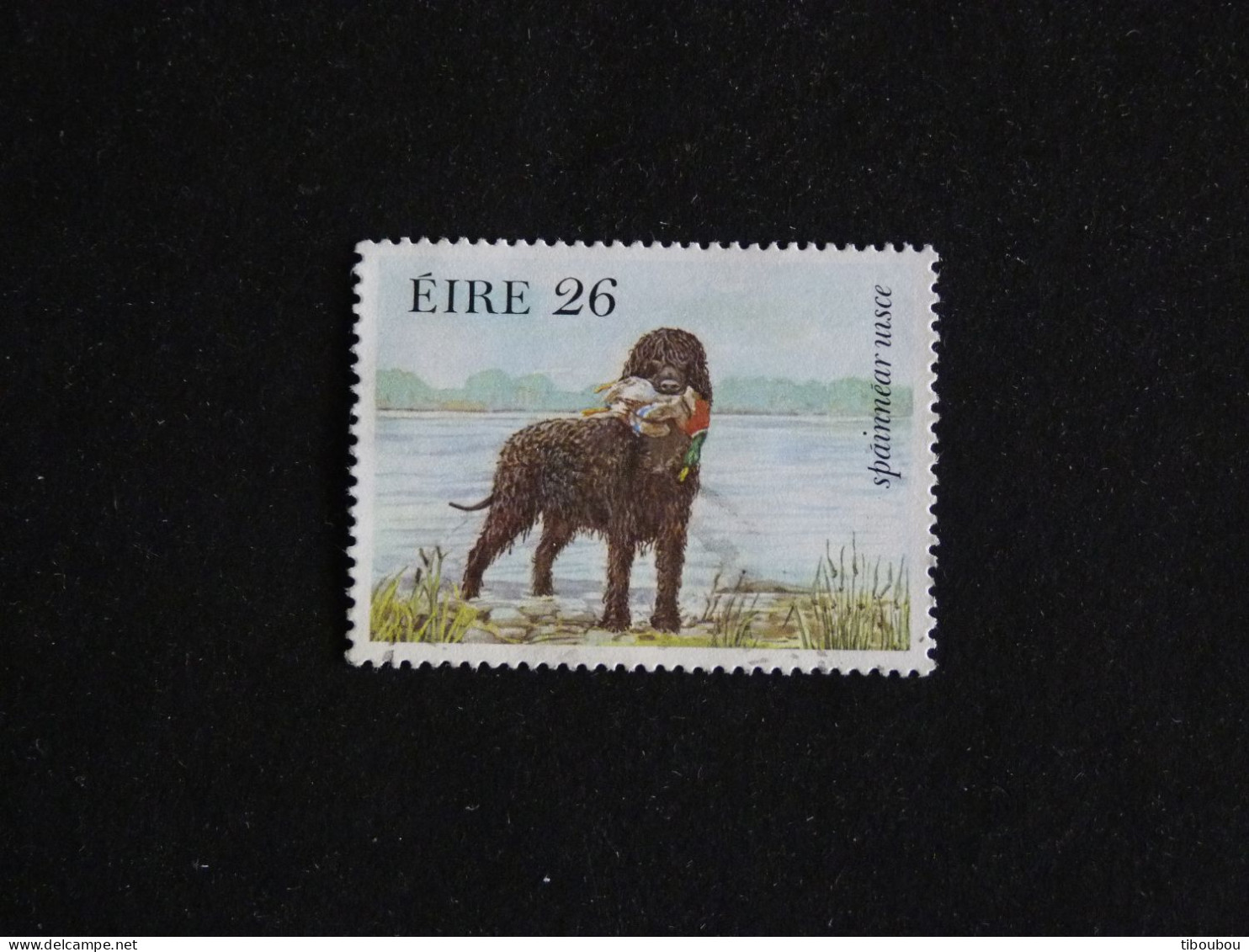 IRLANDE IRELAND EIRE YT 508 OBLITERE - EPAGNEUL CHIEN DOG HUND CHASSE HUNT - Used Stamps