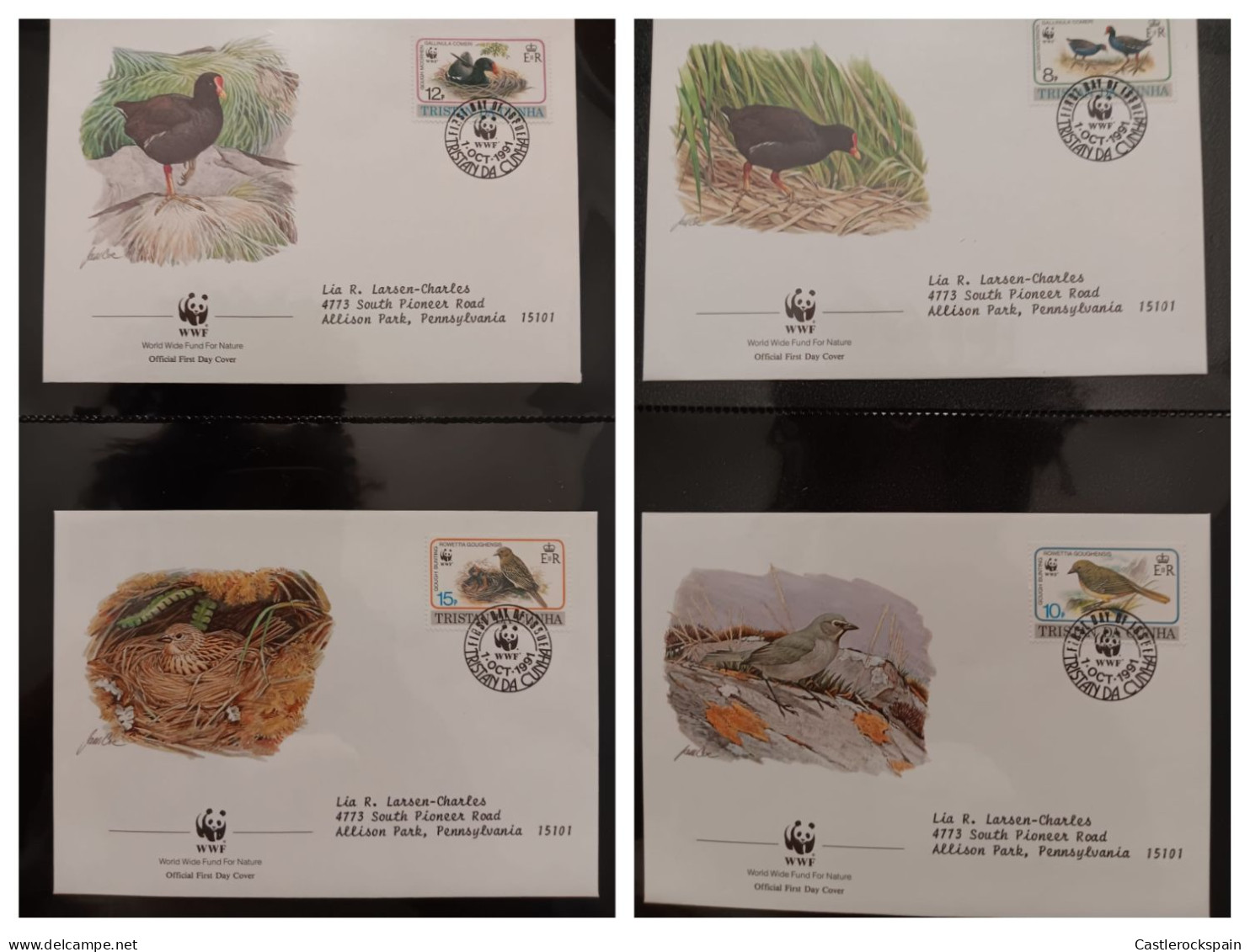 O) 1991 TRISTAN DA CUNHA, WWF - WORLD WILDLIFE FUND. BIRDS - GOUGH MOORHENS - BUNTING, MOORHEN IN NEST, FDX XF - Tristan Da Cunha