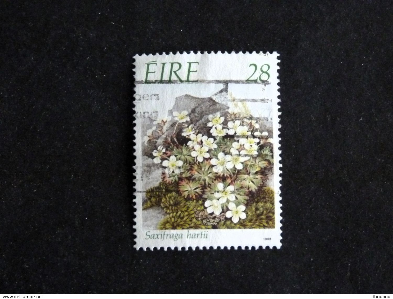 IRLANDE IRELAND EIRE YT 658 OBLITERE - SAXIFRAGE FLORE FLEUR FLOWER BLUME - Gebraucht